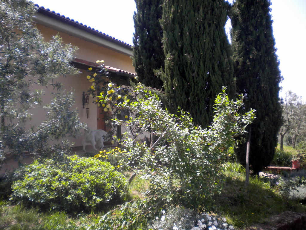 Bed and Breakfast Le Tre Querce Fiano Romano Exterior foto
